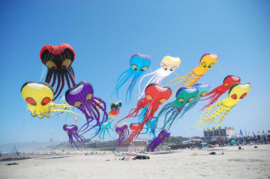 Kites flying at beach