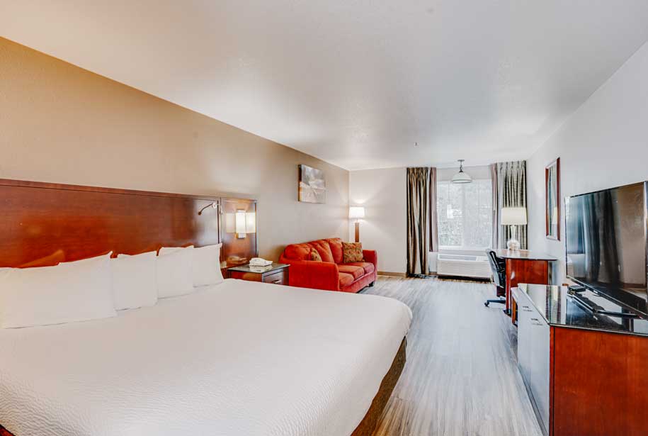 single king guestroom